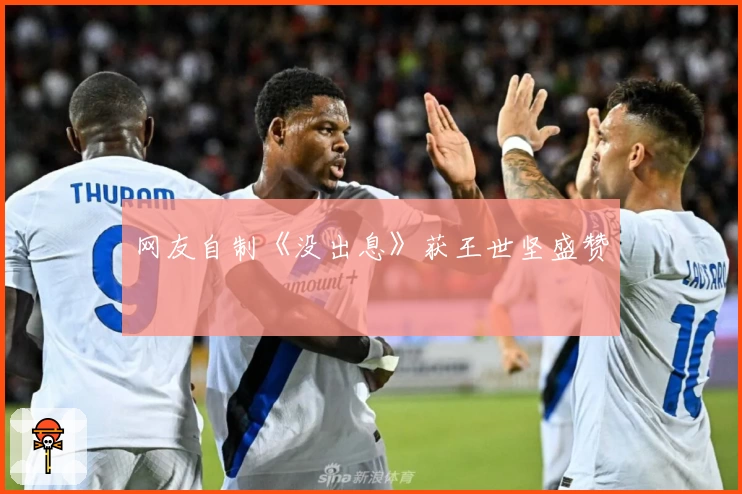 网友自制《没出息》获王世坚盛赞